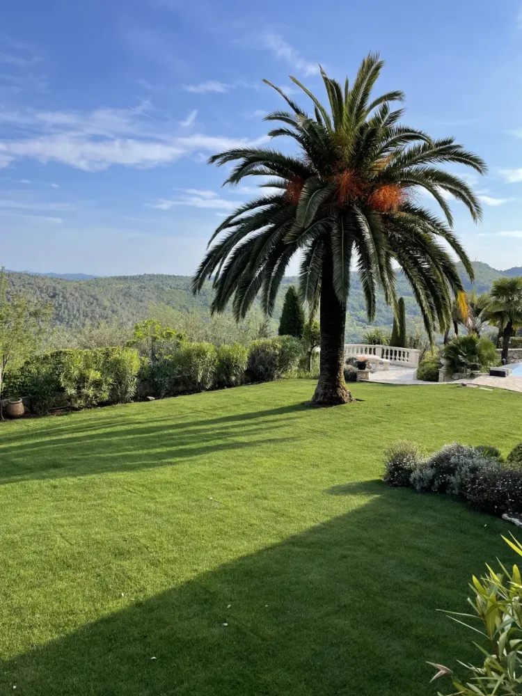 Élagage à Tourrettes-sur-Loup